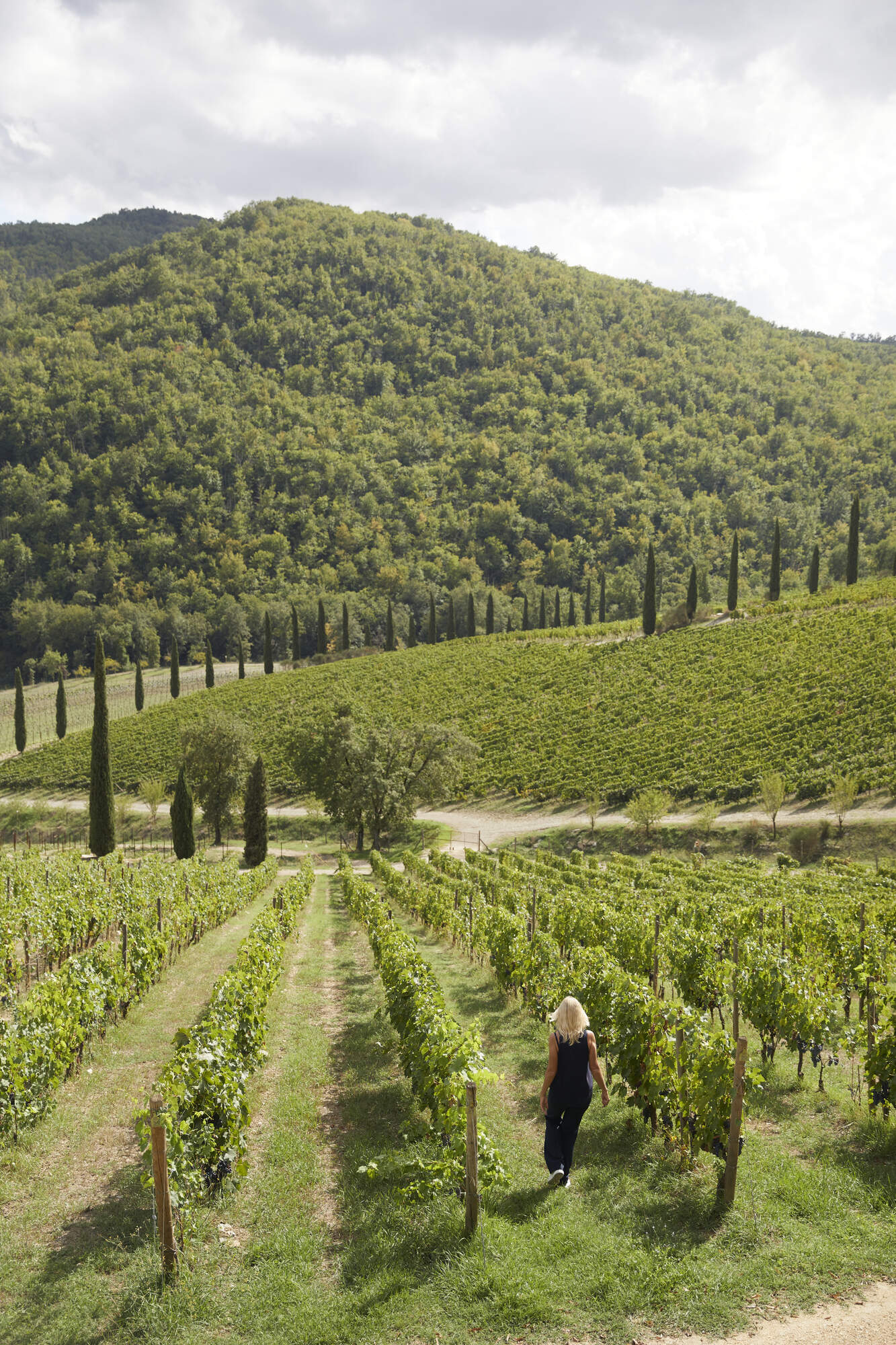 Winemaker Barbara Widmer walking through her vineyards in Tuscany.