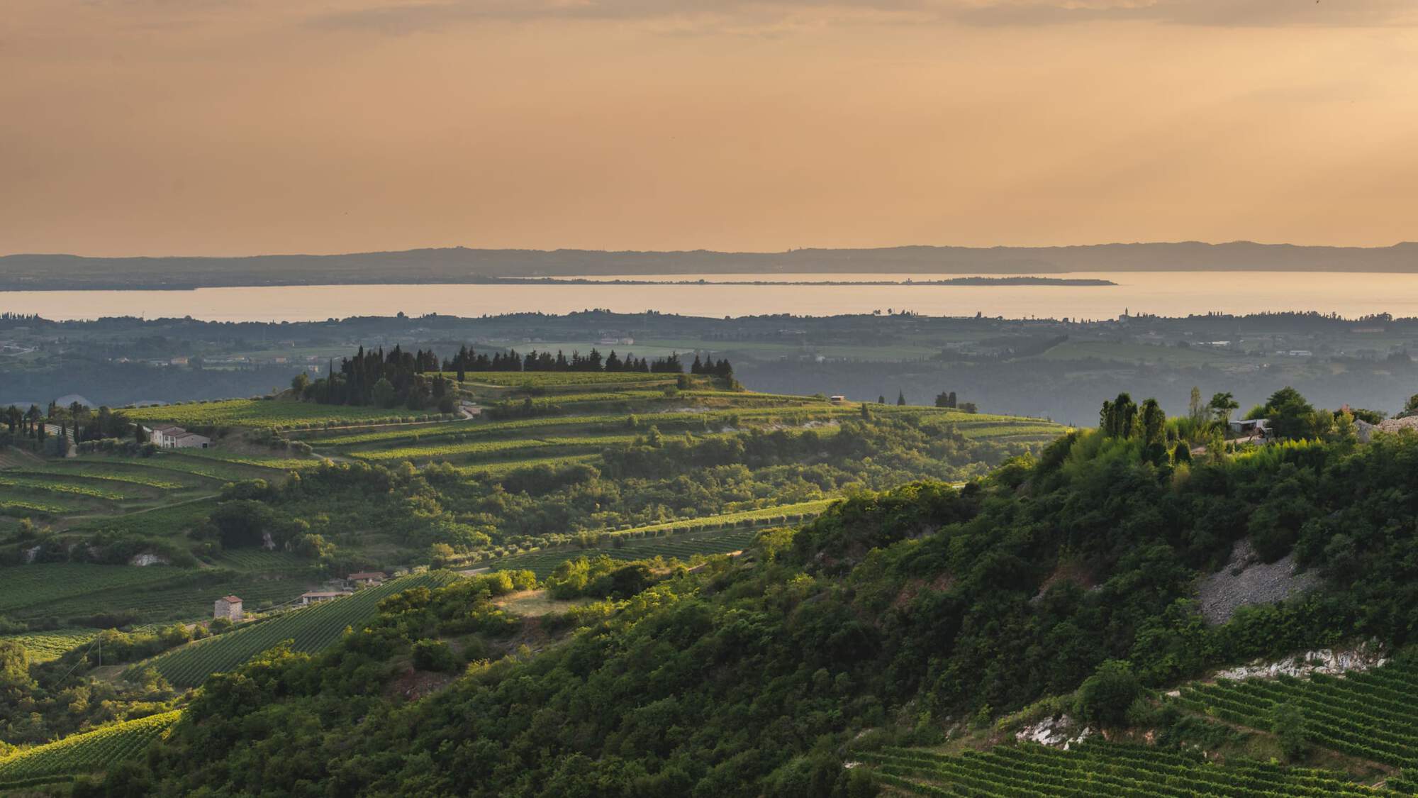 The view from Allegrini vineyards.