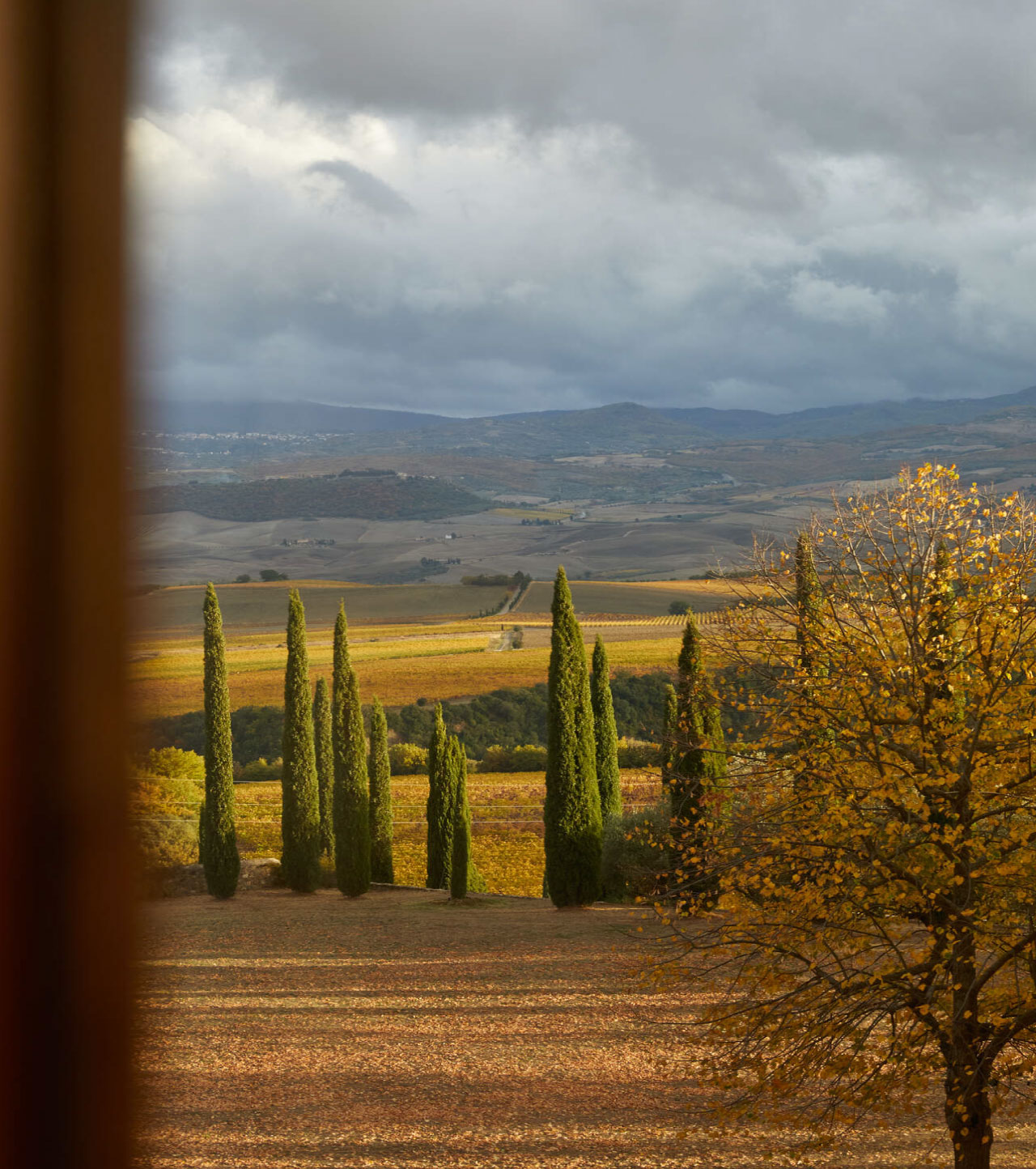 The view when looking out from Argiano Winery over Tuscany.
