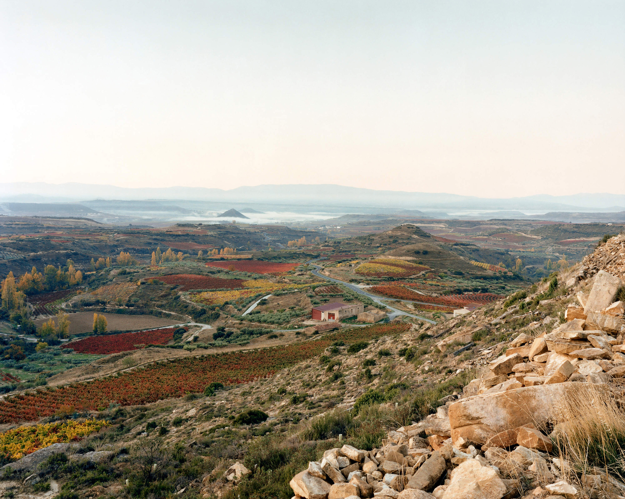 Ariel image of Rioja Alavesa vineyards.