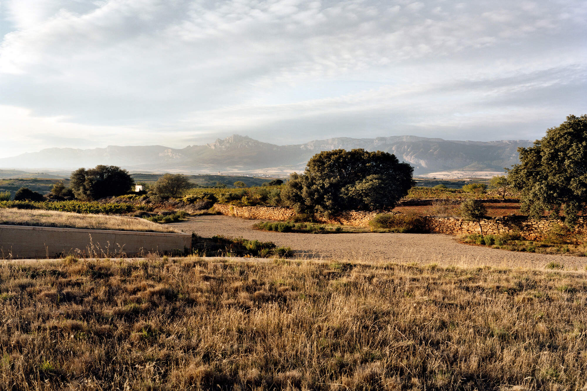 Bodega Lanzaga in Rioja Alavesa.