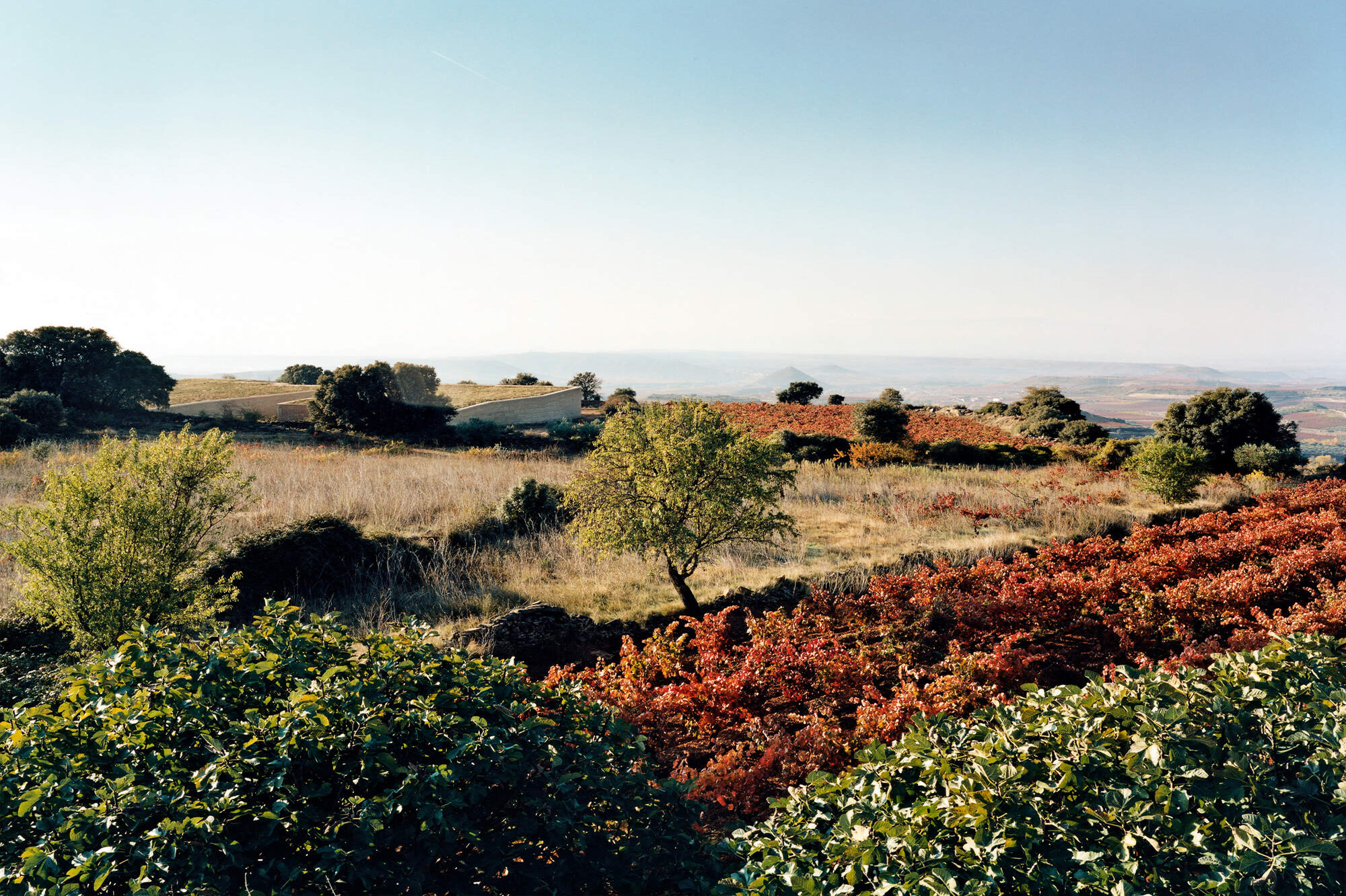 Bodega Lanzaga in Rioja Alavesa.