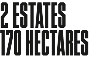 Title: Two Estates, 170 Hectares.