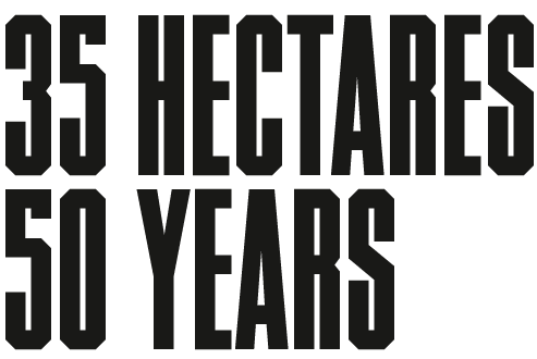 Ratti title graphic, 35 Hectares, 50 years.