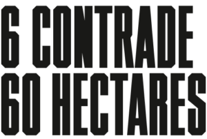 Tornatore Title graphic, 6 Contrade, 60 Hectares.
