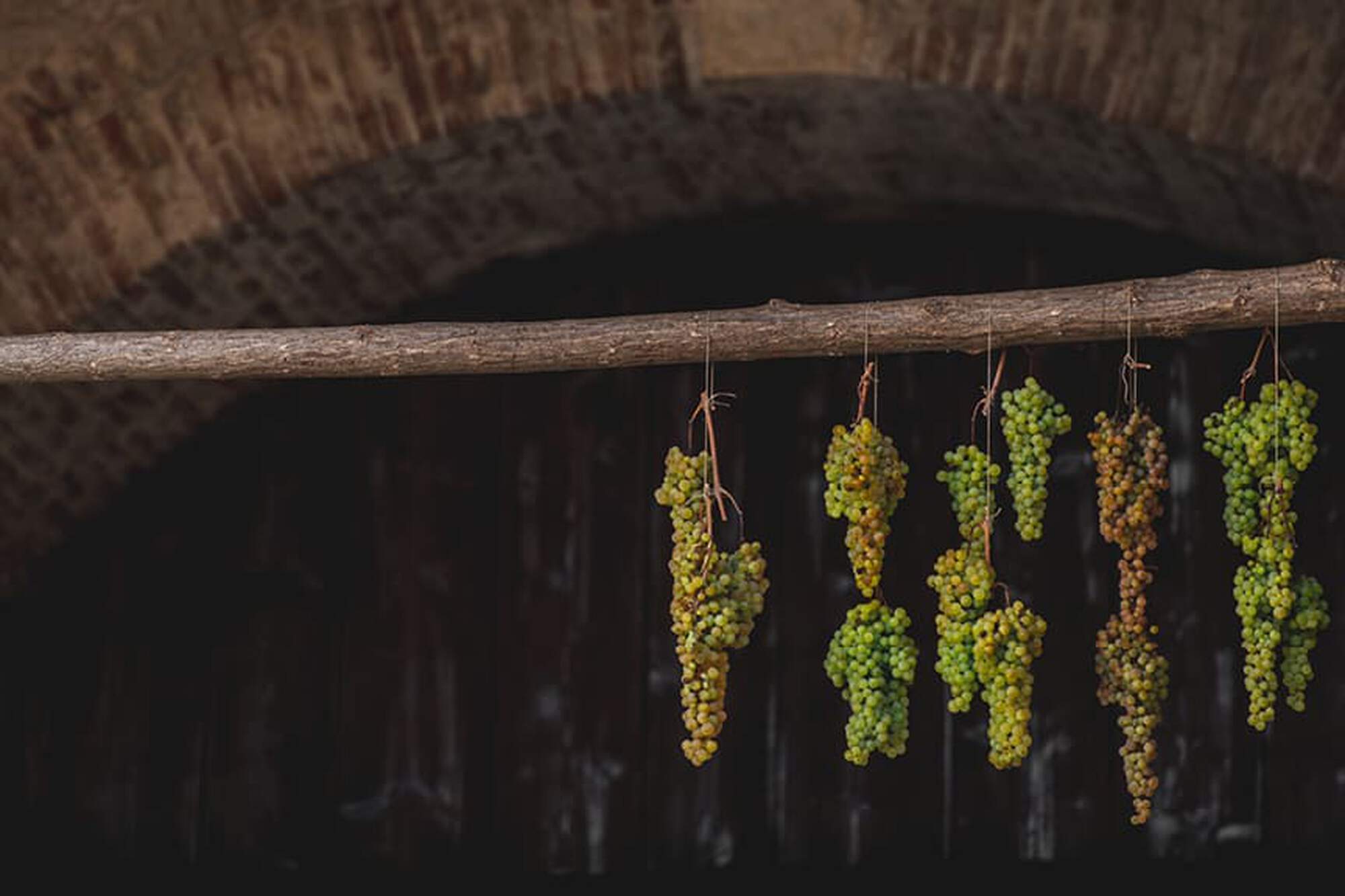 Lush green grapes hanging from a branch.