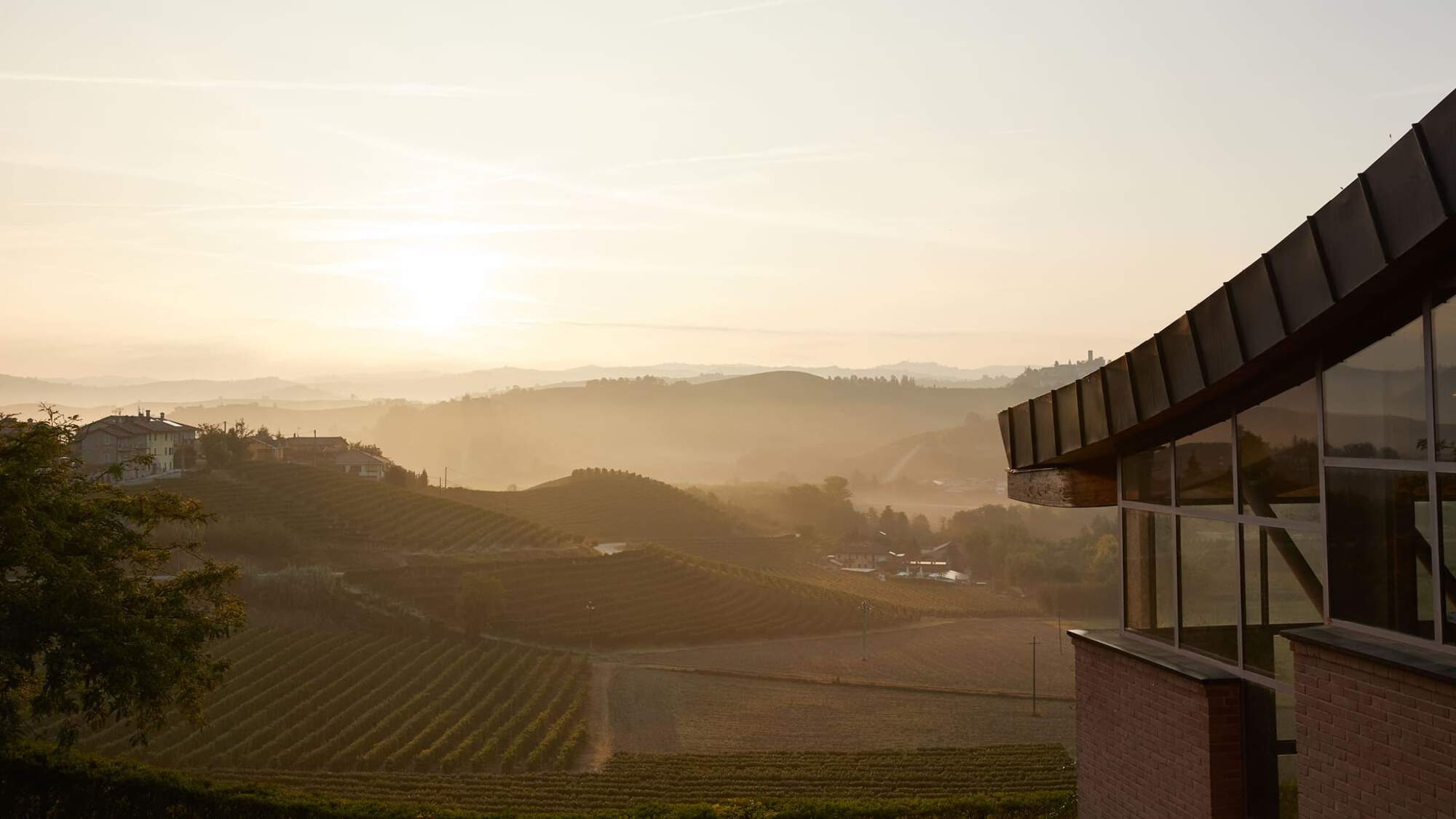 Ariel view of Ratti vineyards, Italy.