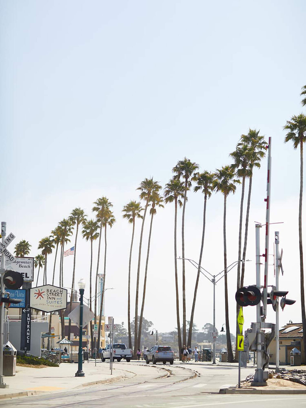 A row of palm trees framing a Californian street.