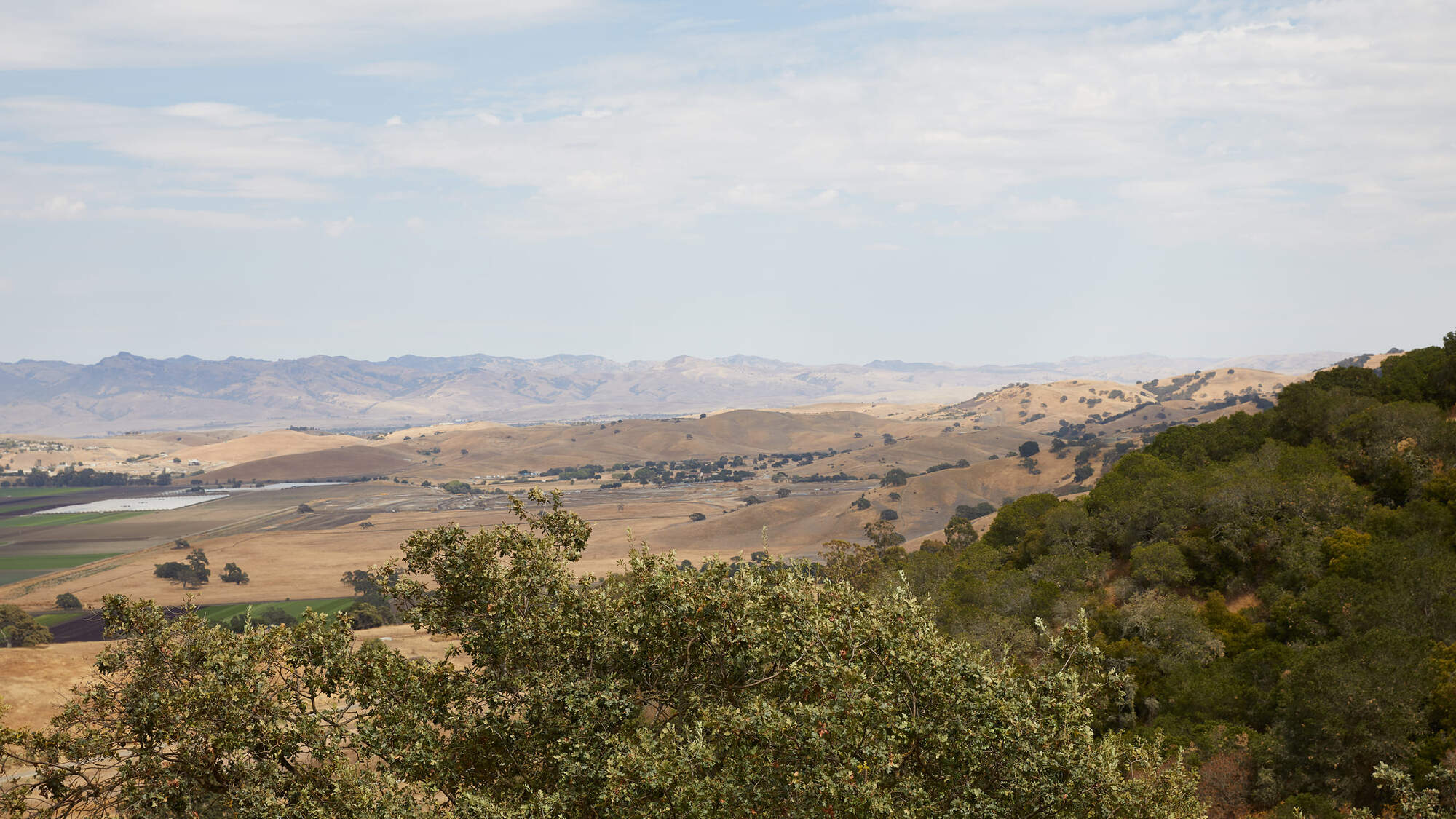 Landscape view of Santa Maria Valley, Central Coast.
