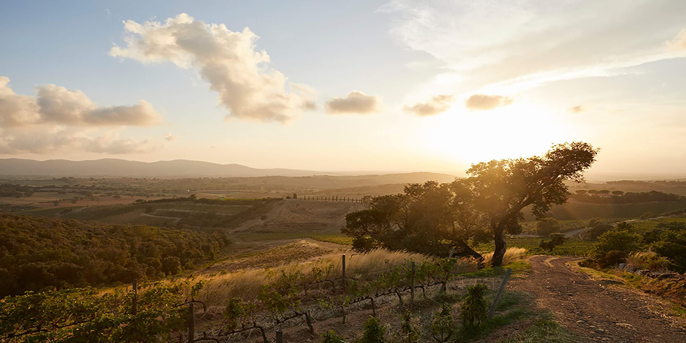 Italian landscape at sunrise