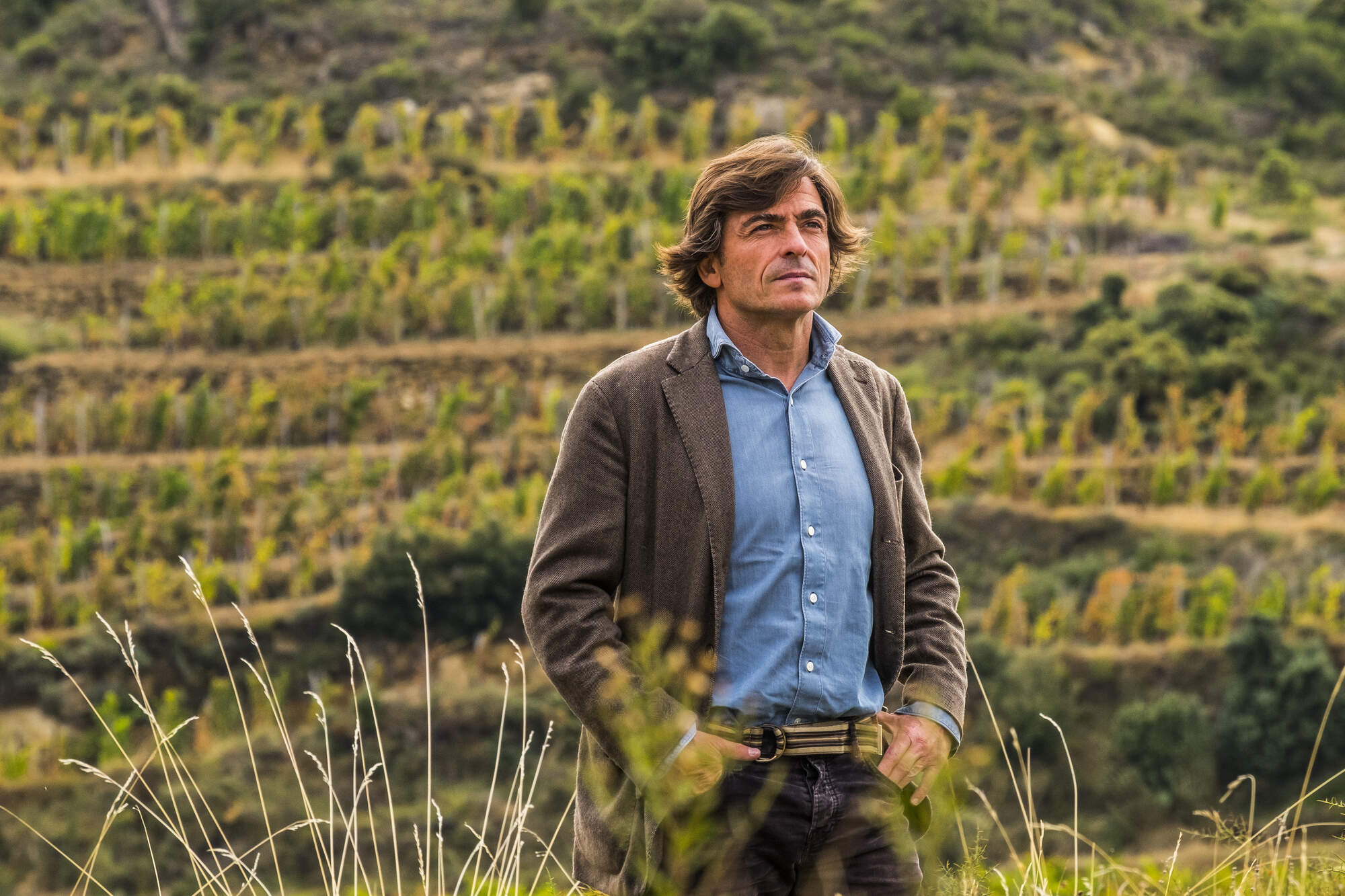 Maze Row producer, Telmo Rodríquez standing in a vineyard.
