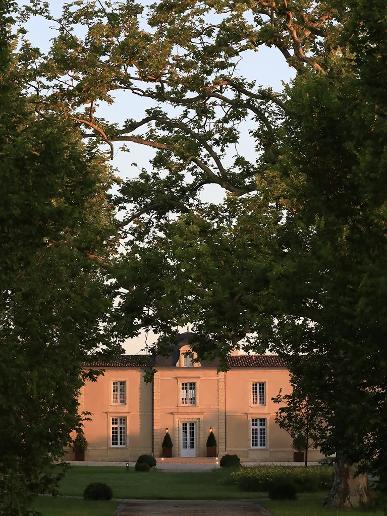 Maze Row Producer Château Dauzac.