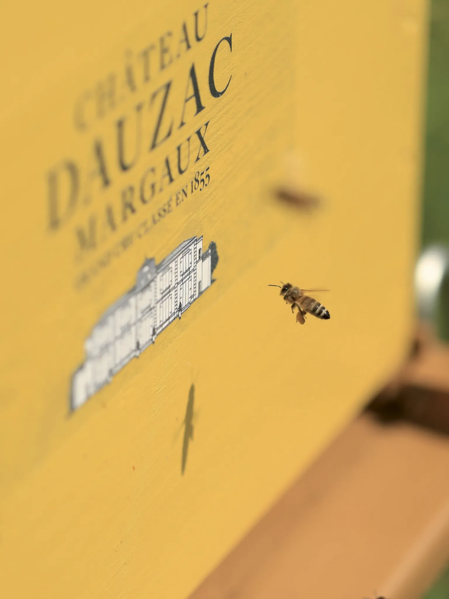 Bees at Chateau Dauzac
