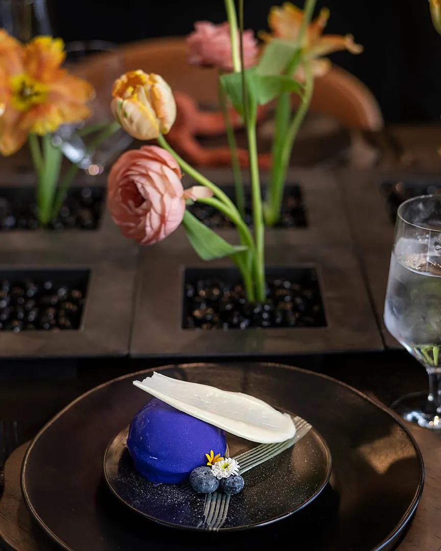 Blueberry Dessert on a plate