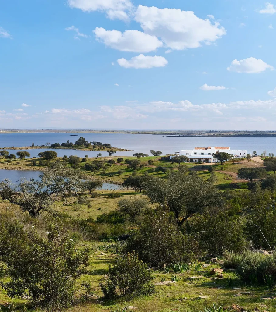 New Horizons: Portugal