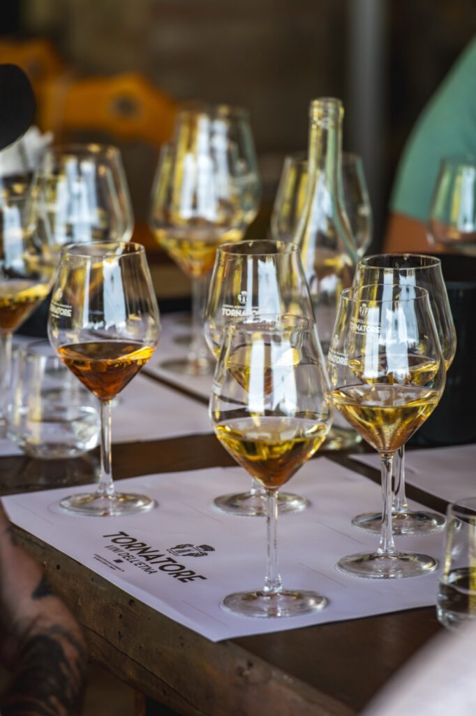 Glasses of white and amber wine lined up on a tasting table