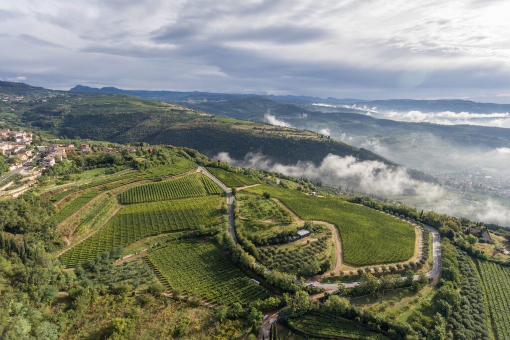 Vineyards and misty hills in Valpolicella