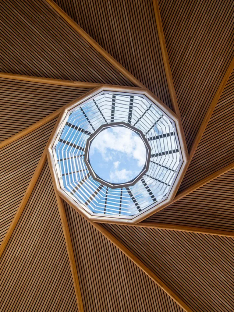 Modern winery interior with a curved wooden ceiling, geometric skylight