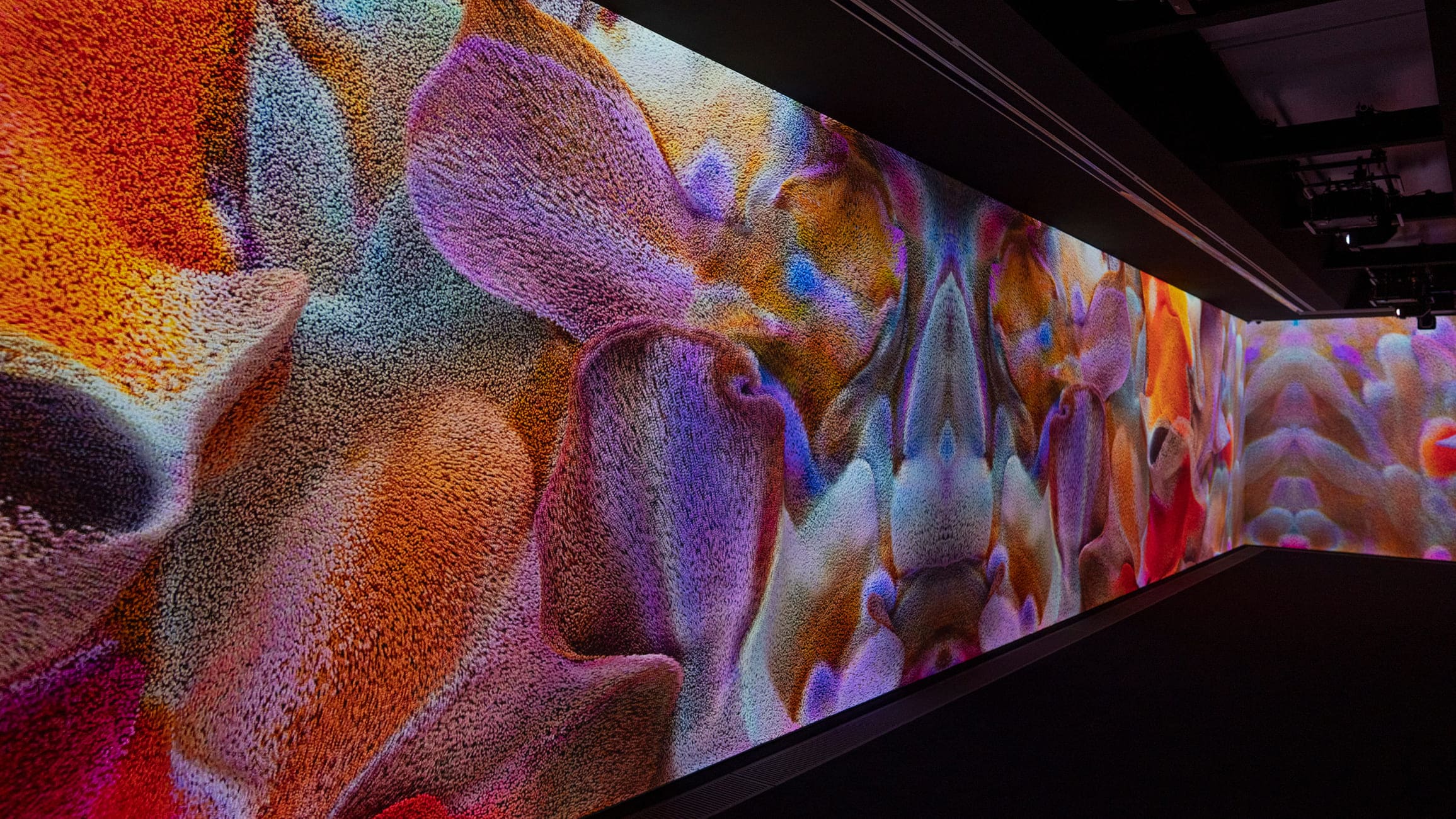 mmersive digital art installation featuring colorful abstract patterns projected across large walls in a dark gallery.