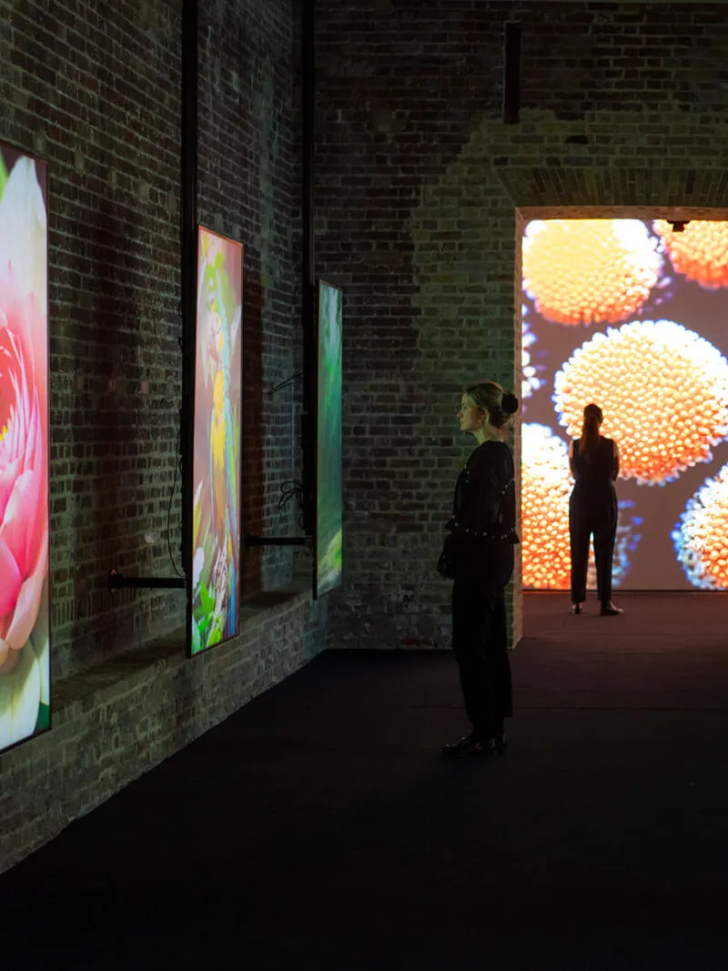 Visitors viewing colorful digital art displays in a dimly lit gallery with exposed brick walls.