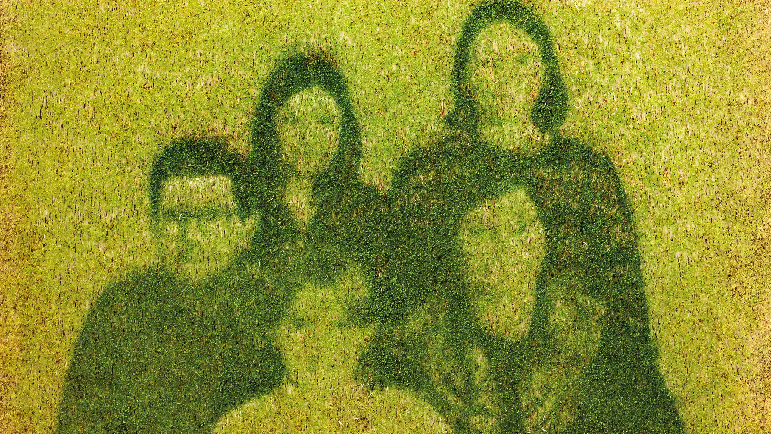 Silhouettes on grass textured ephemeral organic photography