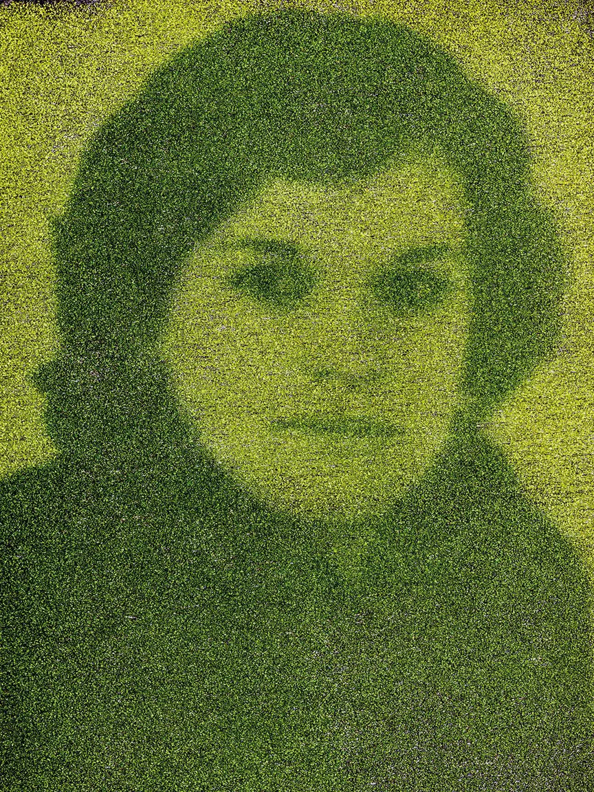 Silhouette on grass textured ephemeral organic photography
